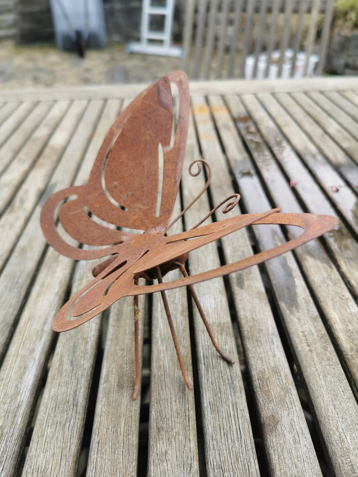 Rust sommerfugl.