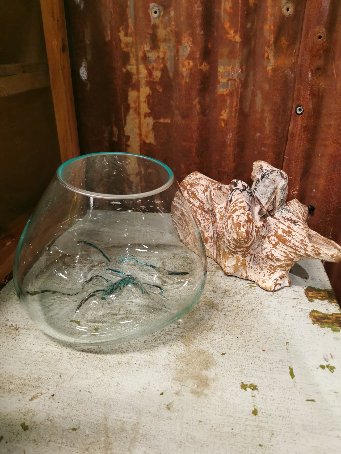 Rustikk vase/glassbole på rot #5