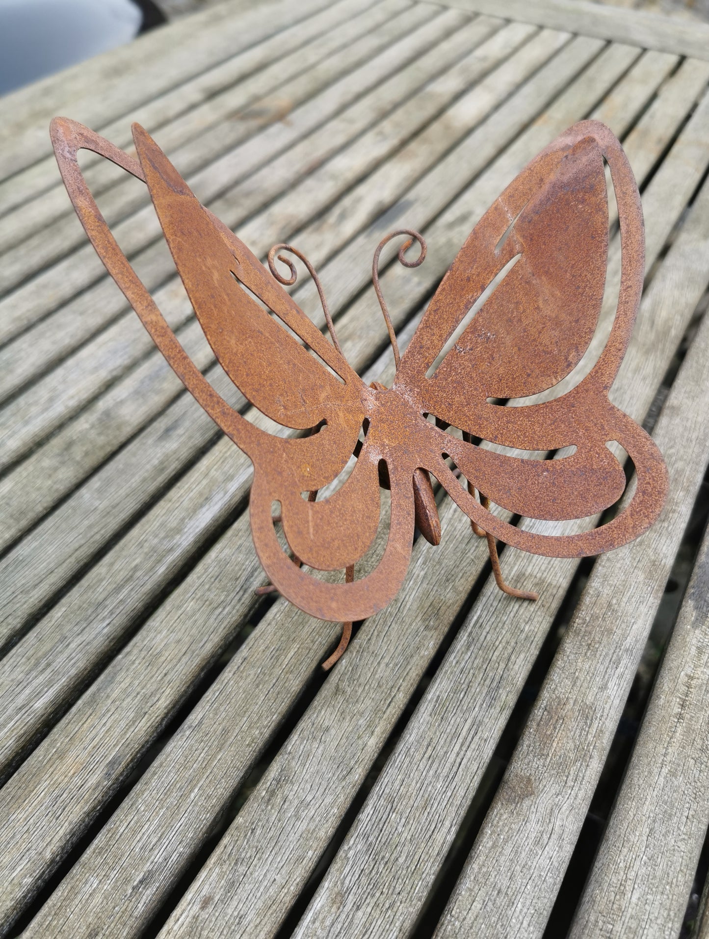 Rust sommerfugl.